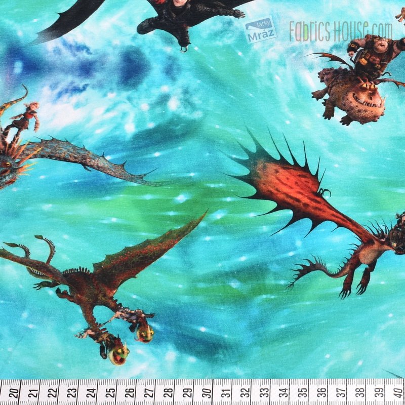 Jersey How To Train Your Dragon Digital Print